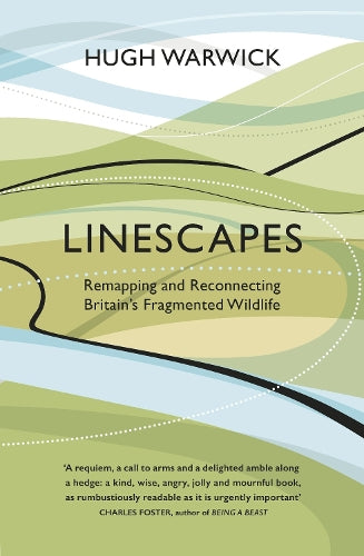 Linescapes