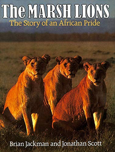 Marsh Lions