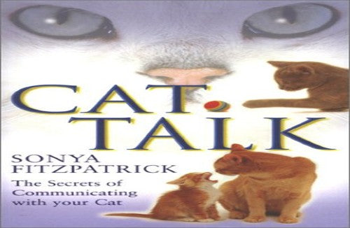 Cat Talk