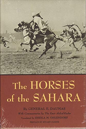 Horses of the Sahara