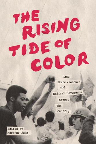 The Rising Tide of Color cover
