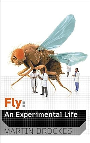 Fly