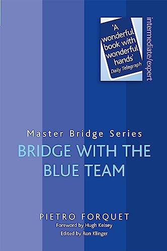Bridge With The Blue Team