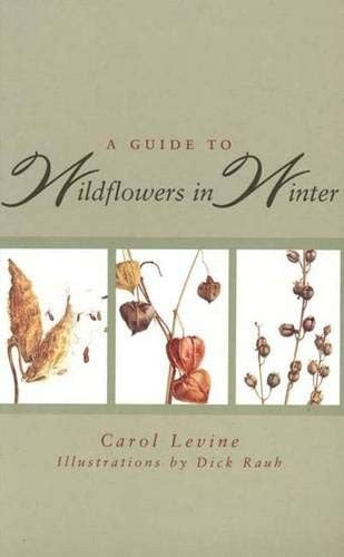 A Guide to Wild-flowers in Winter