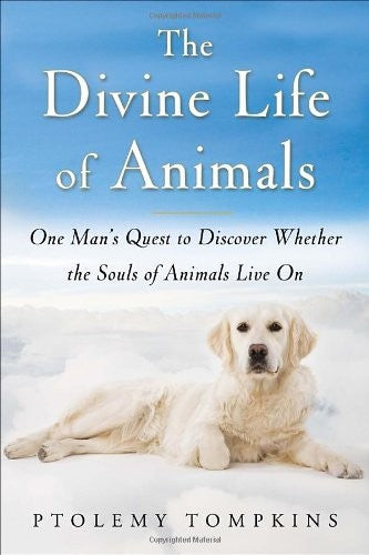 The Divine Life of Animals