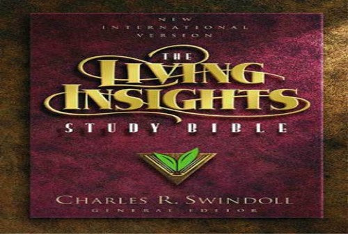 Niv Living Insights Study Bible Navy BL cover