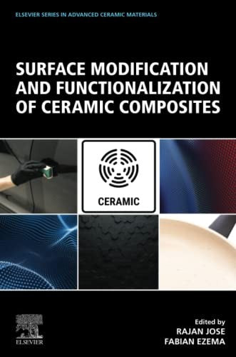 Surface Modification and Functionalization of Ceramic Composites