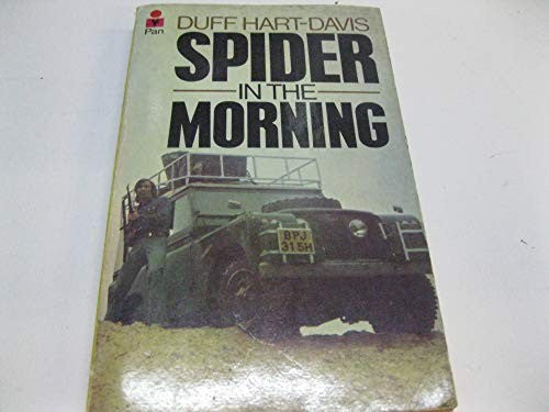 Spider in the Morning