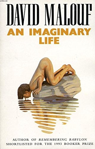 An Imaginary Life
