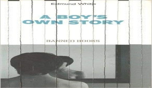 A Boy's Own Story