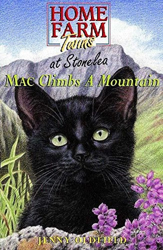 Mac Climbs A Mountain