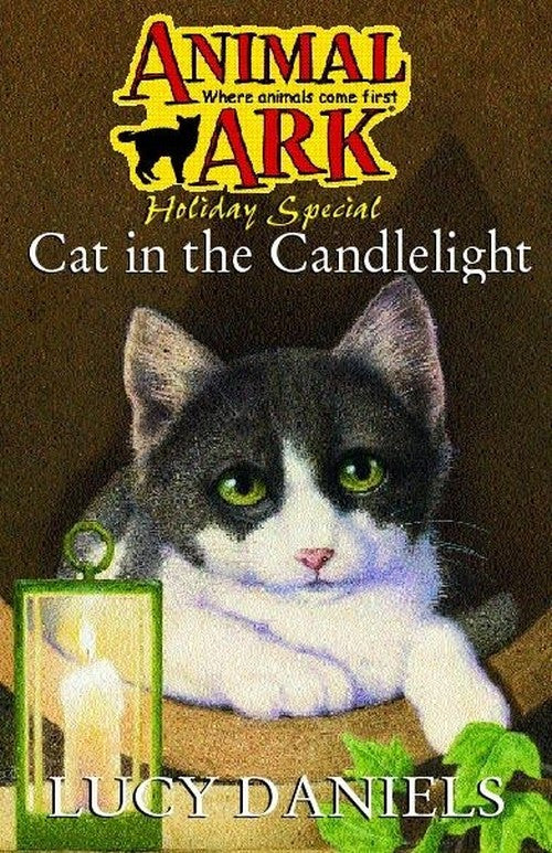 Cat in the Candlelight