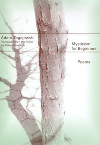 Mysticism for Beginners 