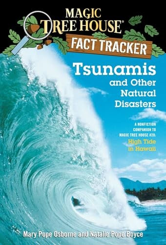 Tsunamis and Other Natural Disasters