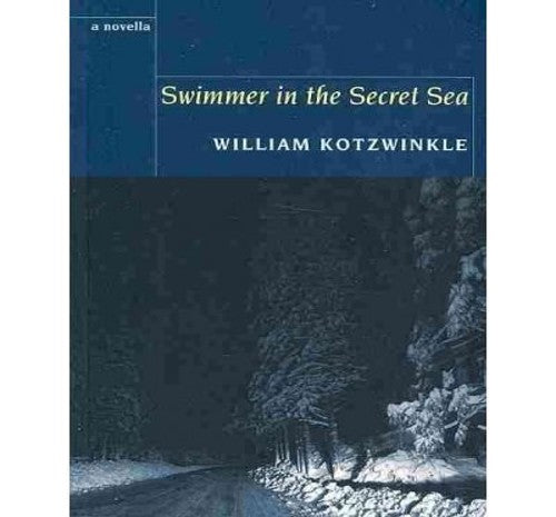 Swimmer in the secret sea: A novel (A Flare book)