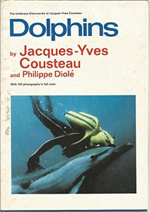 Dolphins 