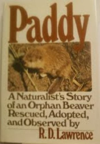 Paddy