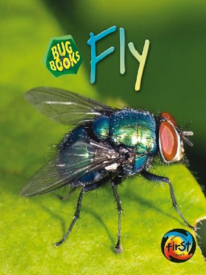 Fly