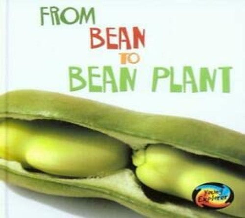 From Bean to Bean Plant