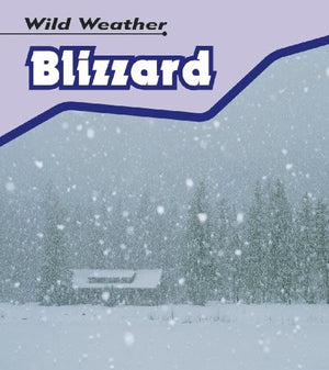 Blizzard