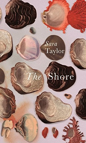 The Shore