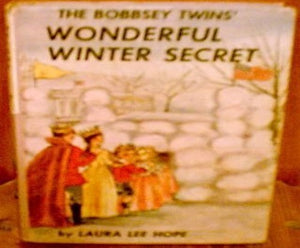 Bobbsey Twins 00: Wonderful Winter Secret
