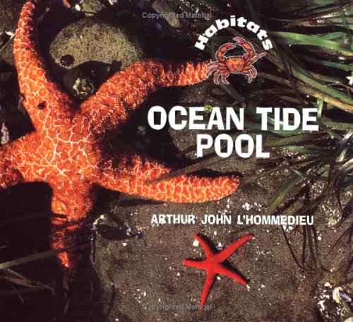 Ocean Tidepool