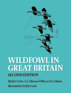 Wildfowl in Great Britain 