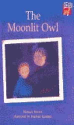 The Moonlit Owl