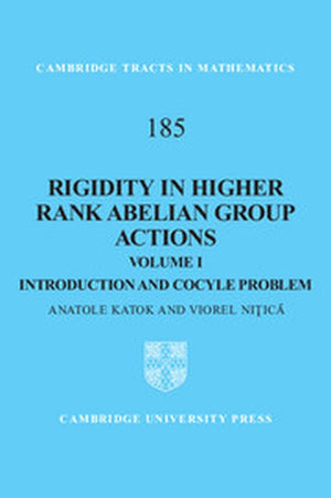 Rigidity in Higher Rank Abelian Group Actions: Volume 1, Introduction and Cocycle Problem