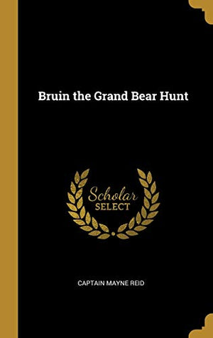 Bruin the Grand Bear Hunt