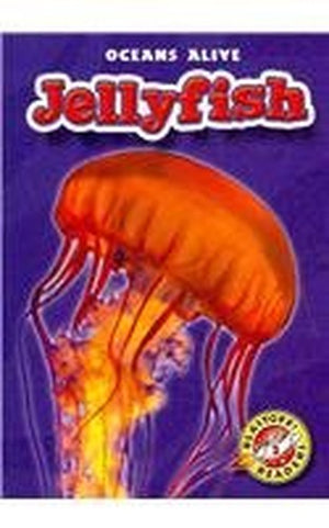 Jellyfish