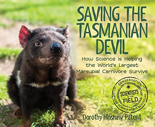 Saving the Tasmanian Devil: How Science is Helping the World's Largest Marsupial Carnivore Survive