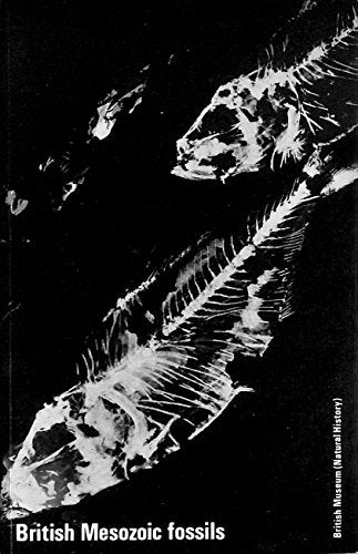 British Mesozoic Fossils
