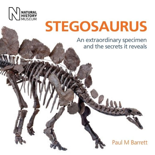 Stegosaurus