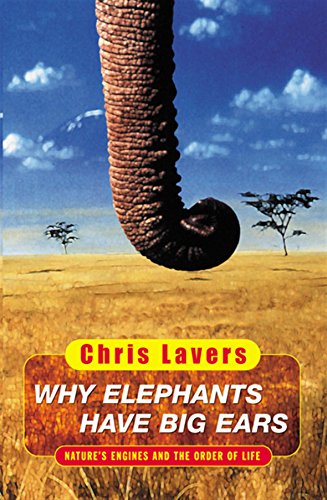 Why Elephants Have Big Ears