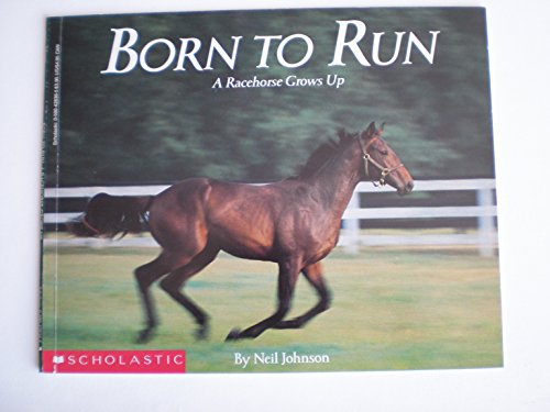 Born to Run cover