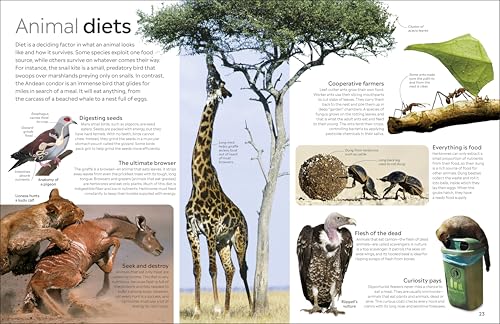Eyewitness Animal