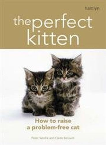 The Perfect Kitten