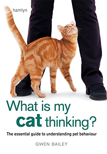 What is my Cat Thinking?