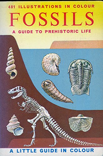 Fossils (Little Guides in Colour)