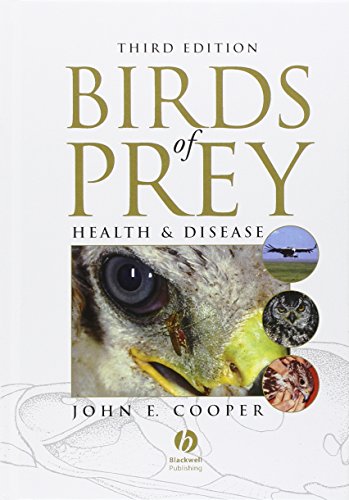 Birds of Prey