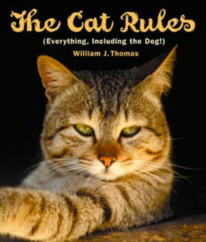 Cat Rules