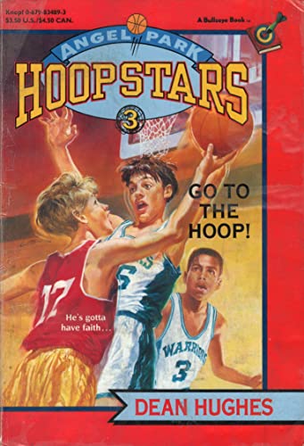 Go to the Hoop Angel Park Hoop