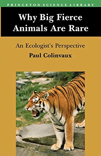 Why Big Fierce Animals Are Rare
