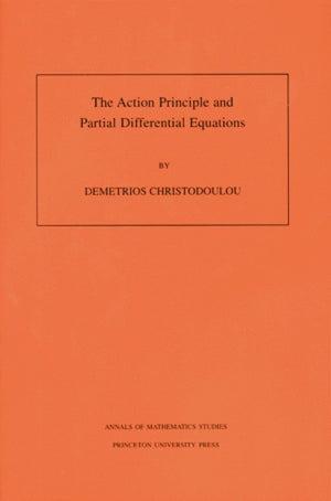 The Action Principle and Partial Differential Equations