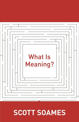 What Is Meaning?