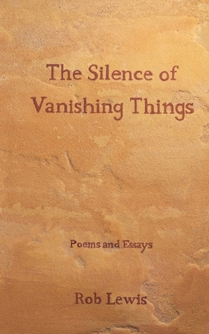 The Silence of Vanishing Things