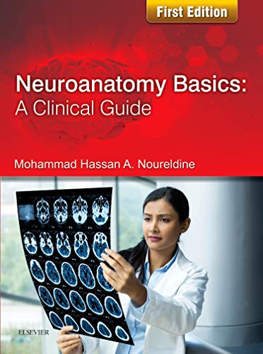 Neuroanatomy Basics: A Clinical Guide cover