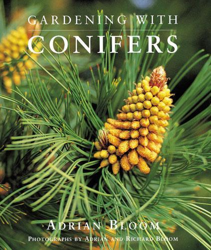 Gardening with Conifers